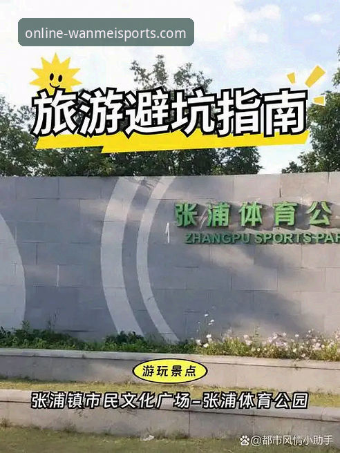 完美体育平台入口使用实用技巧：老用户带你避开常见坑